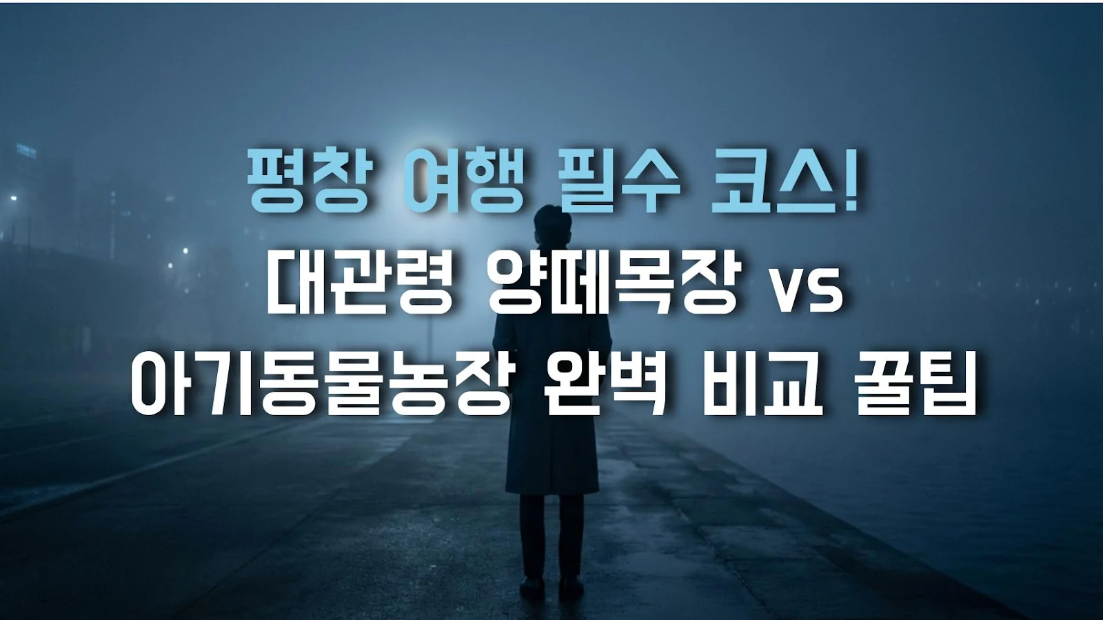 평창 여행 필수 코스! 대관령 양떼목장 vs 아기동물농장 완벽 비교 꿀팁