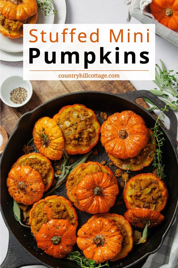 50+ Thanksgiving Recipes Designed for Family Gatherings
