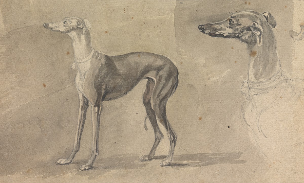 A Greyhound 1760