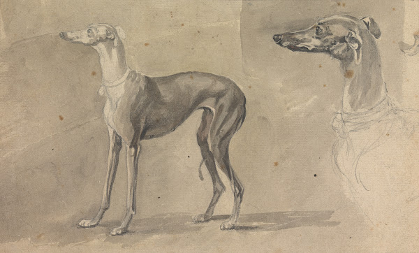 A Greyhound 1760