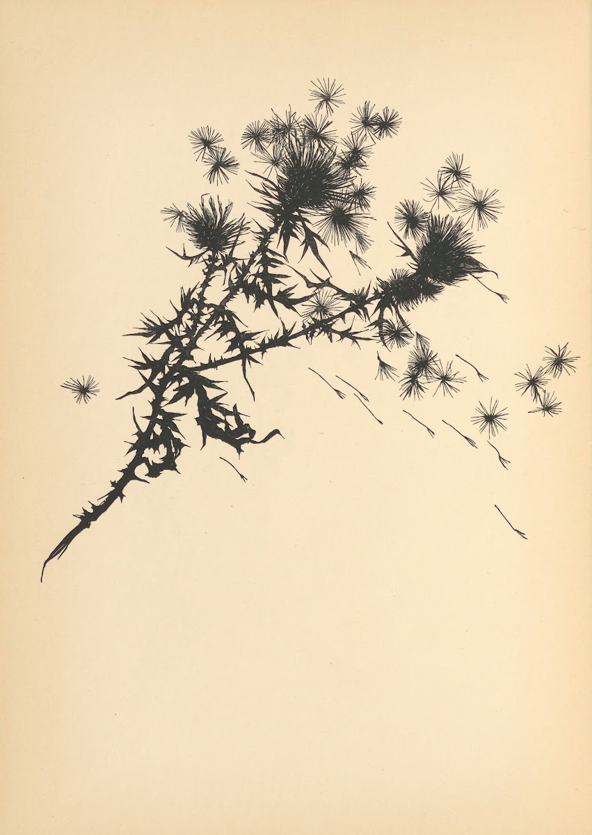 Vertrauen Pl22 1933