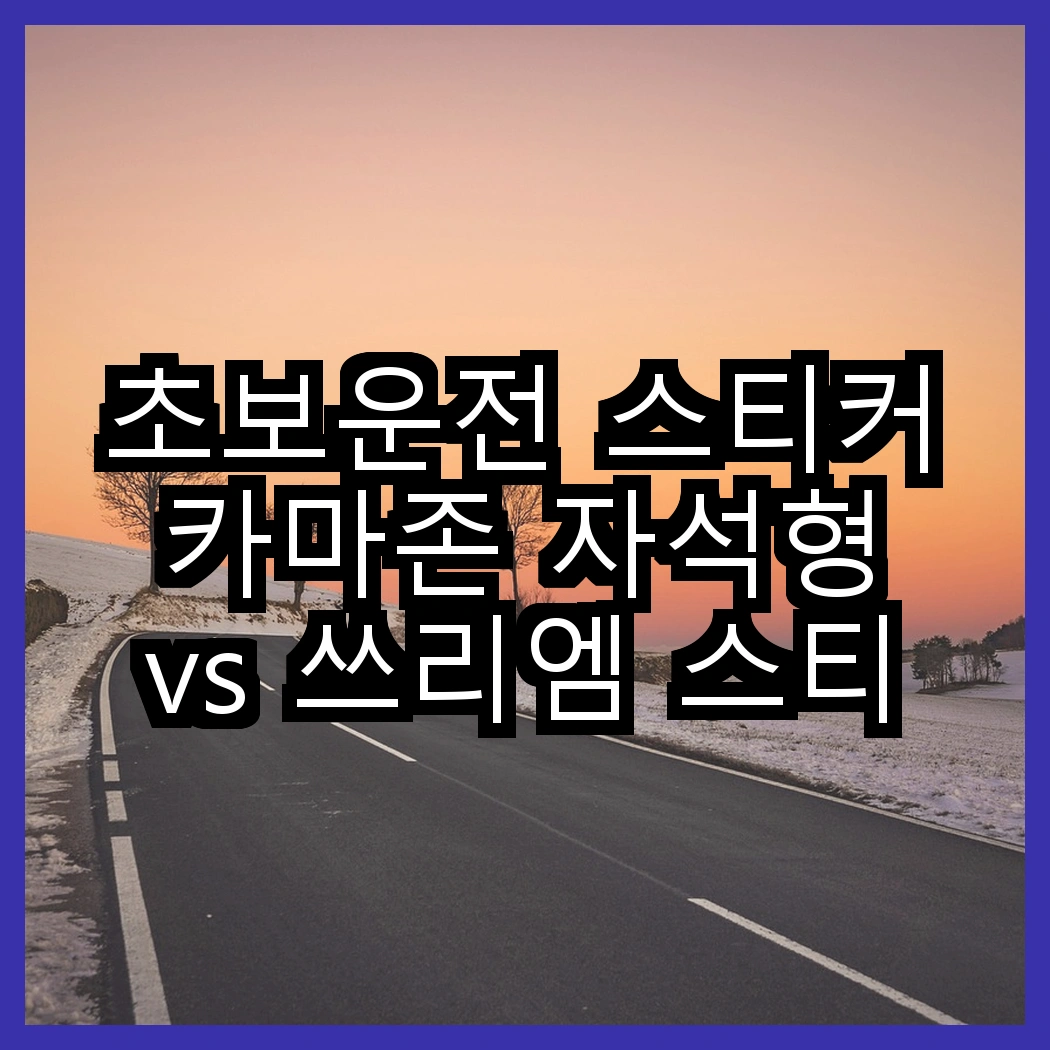초보운전 스티커 카마존 자석형 vs 쓰리엠 스티커 크리너, 어떤 제품이 더 효과적일까요? 썸네일