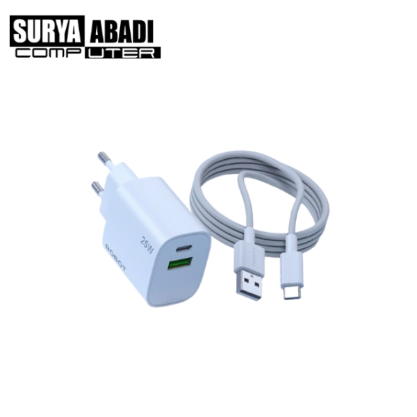 Charger Robot RT-P25