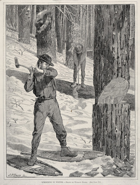 Lumbering in Winter 1871