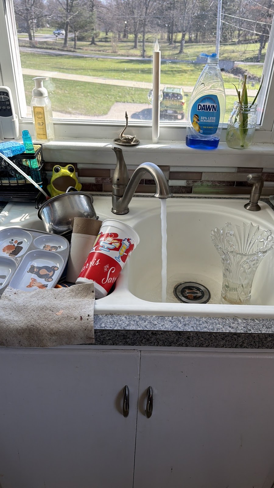 Copy of IMG_2026-03-12_16-20-44_267.jpg