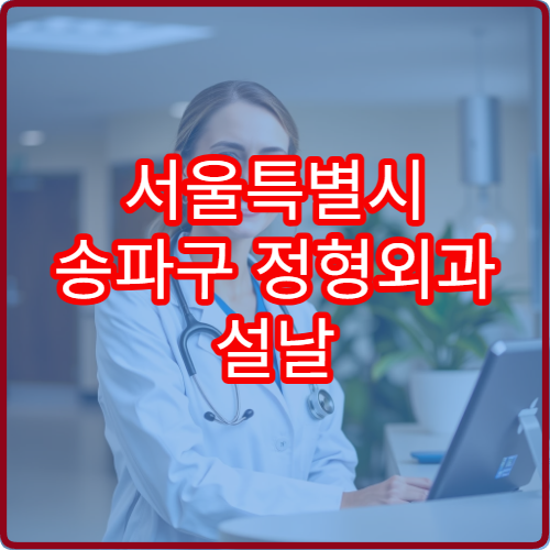 서울특별시 송파구 정형외과 설날 명절 연휴 진료 병원 관절 부상·근육통 치료 가능