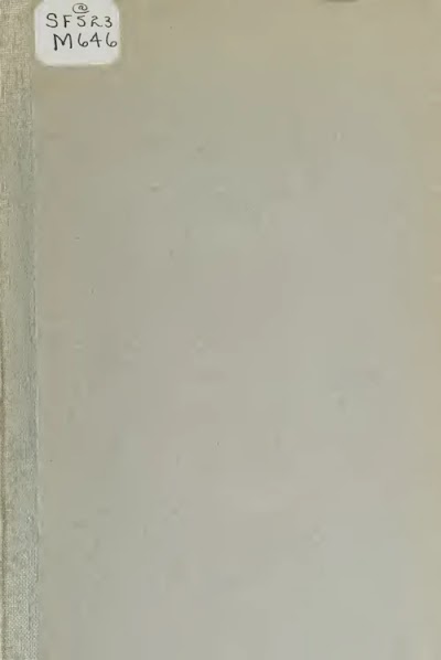 transferring of bees 1920