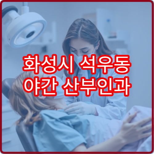 화성시 석우동 야간 산부인과 진료 운영 병원 상세 확인 가이드