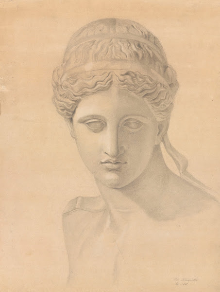 Study of an bust 1881