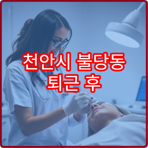 천안시 불당동 퇴근 후 이용 가능한 한의원 야간진료
