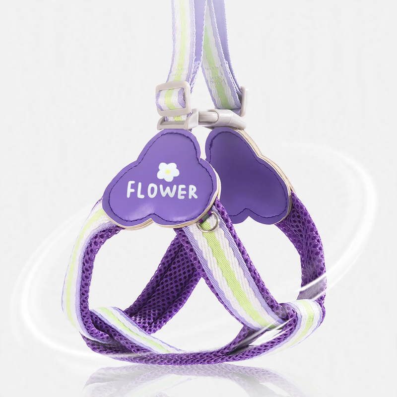 Y-shaped dog harness with leash, fabric
