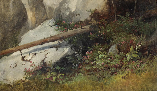 Wiesenstück vor felsigem Hintergrund