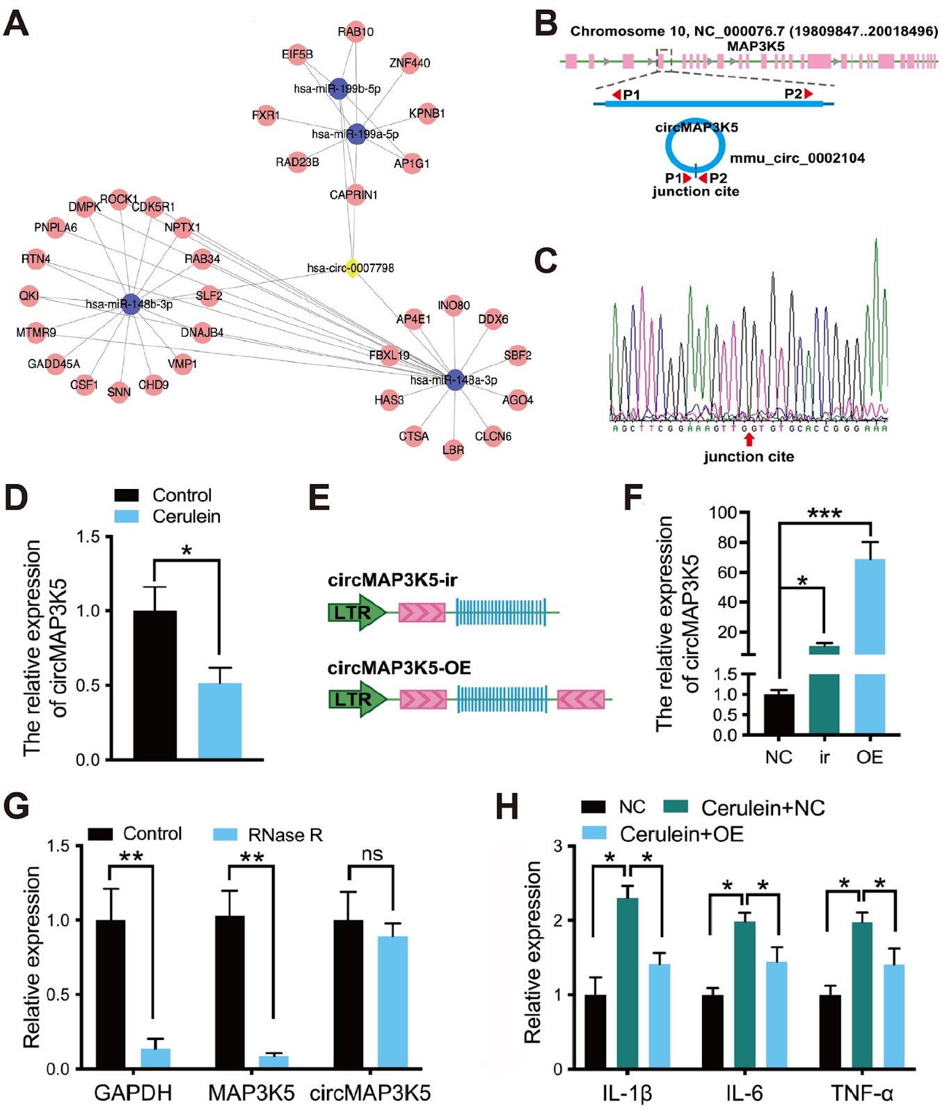 Identification and validation of disease severity-related circular RNA in acute pancreatitis