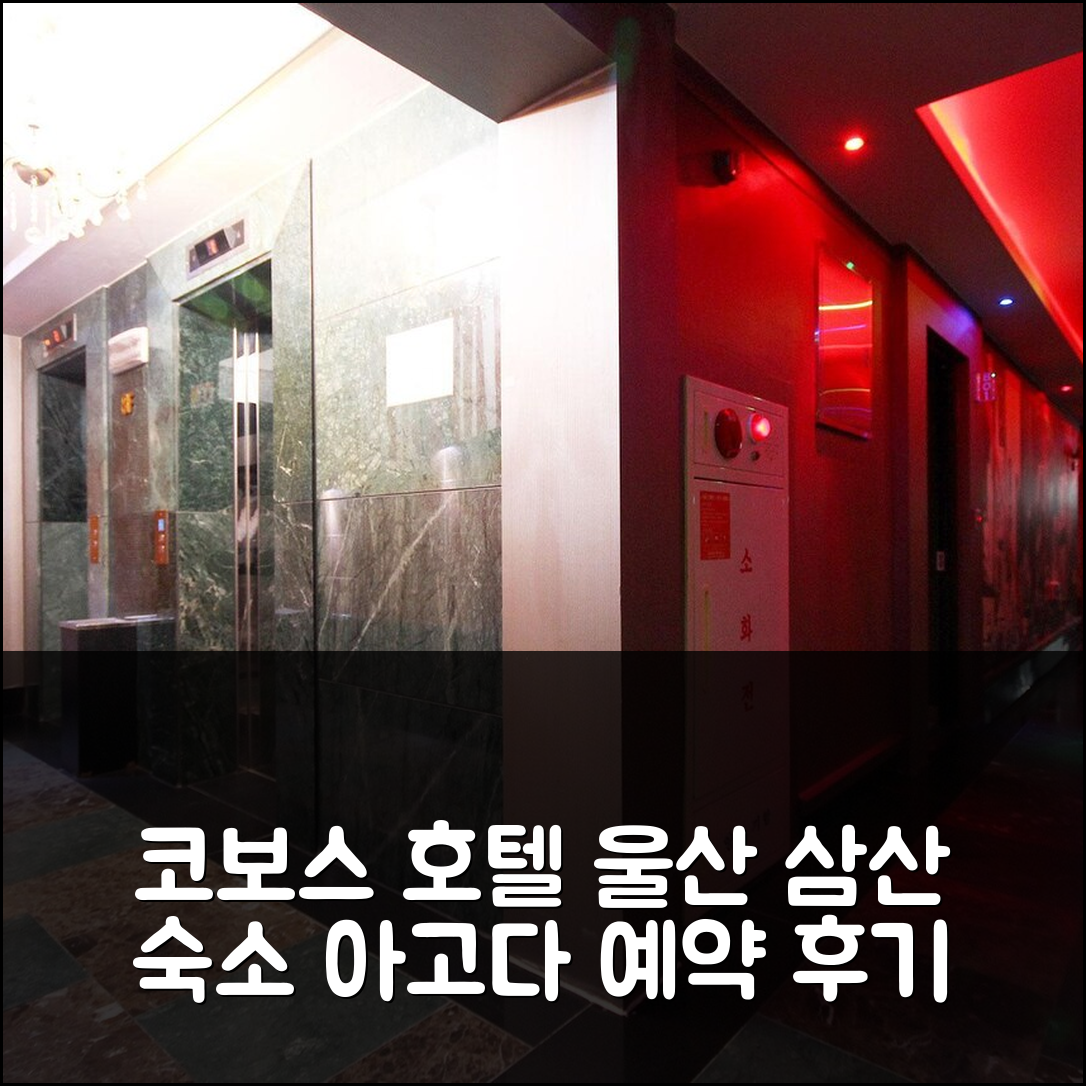 울산 삼산 명품 코보스 호텔: 울산 숙소 예약 후기 앤 할인 - 아고다 호텔 추천