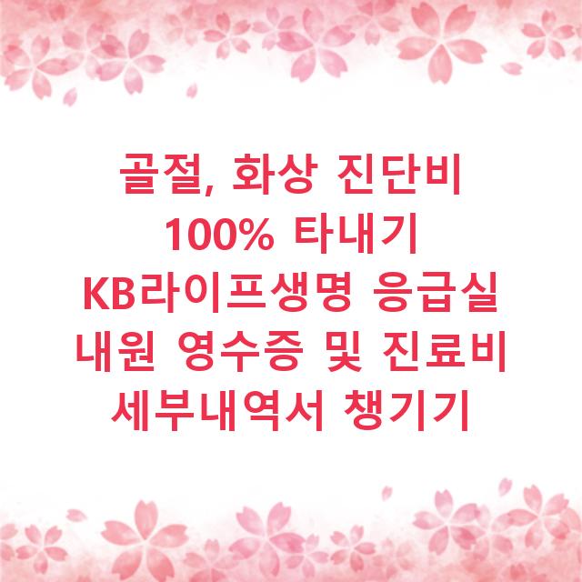 골절, 화상 진단비 100% 타내기 KB라이프생명 응급실 내원 영수증 및 진료비 세부내역서 챙기기