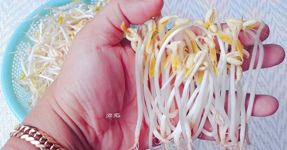 Làm GIÁ sạch tại nhà