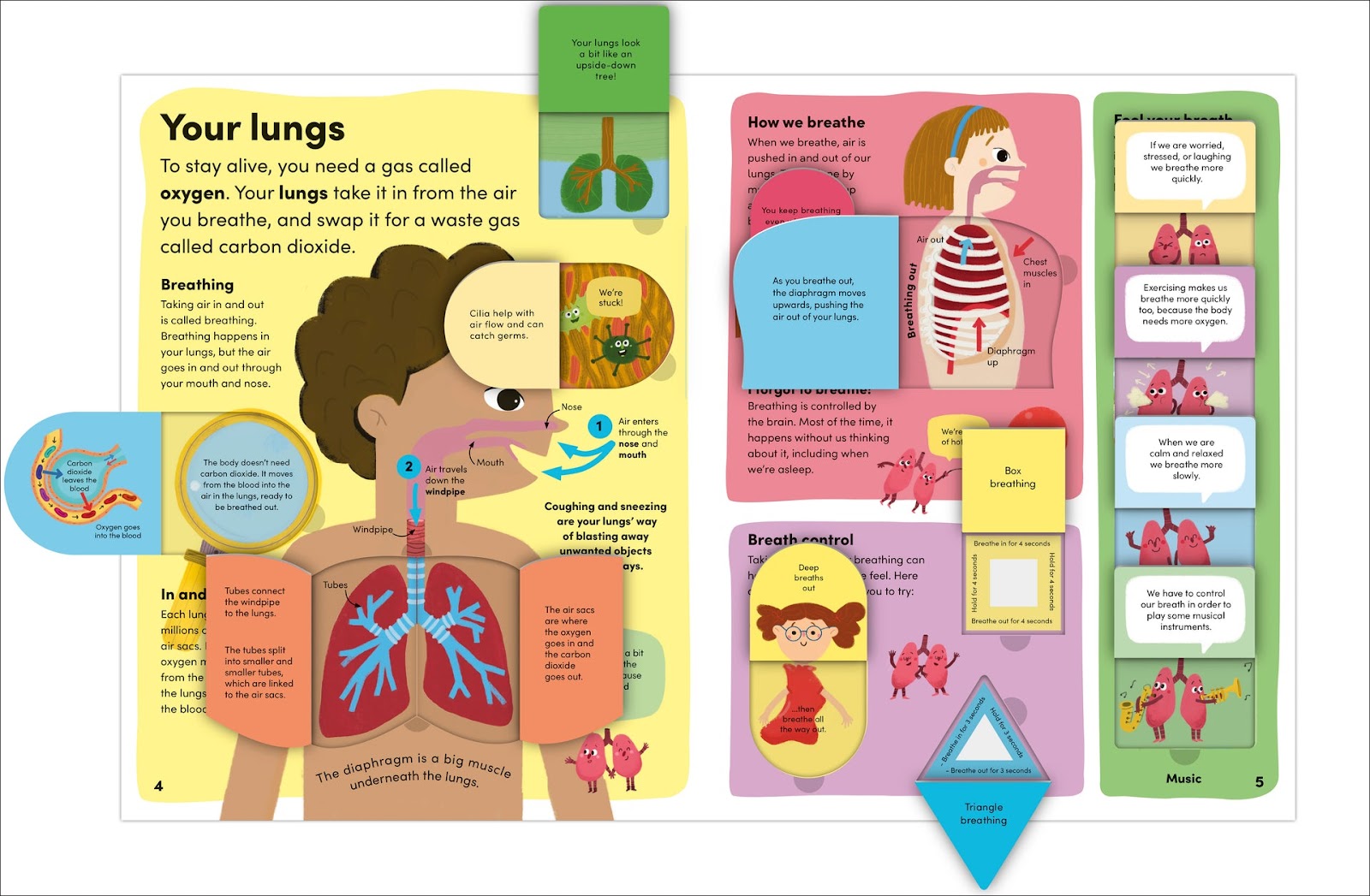You and Your Body — gambar 5