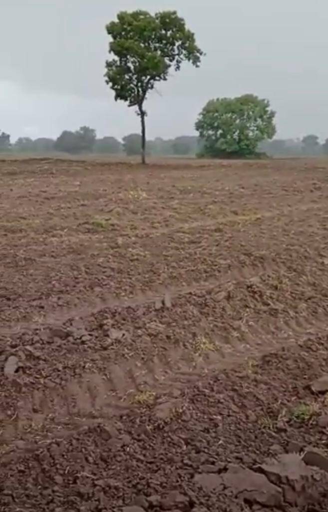Fazenda no Município de Cocalinho - MT 5