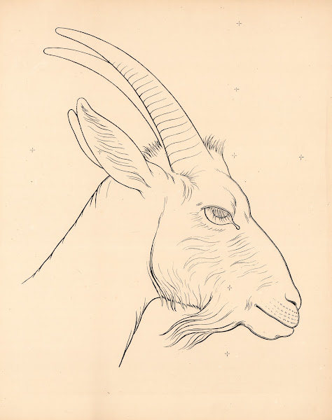 Capricorn head 1863