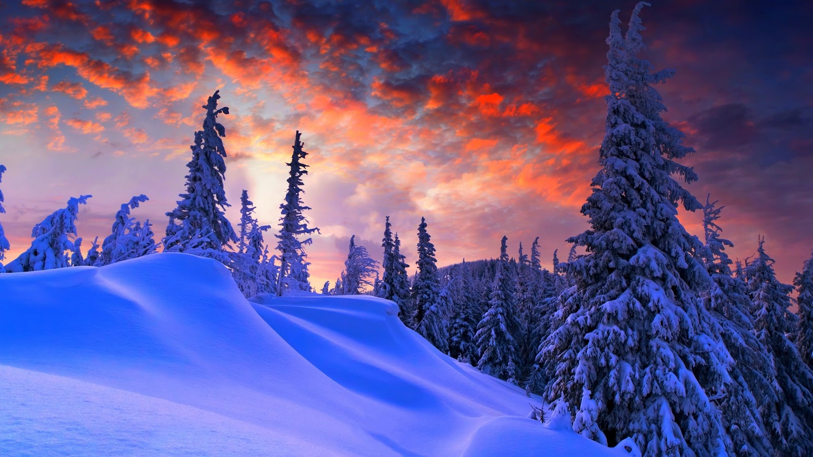 Winter Nature Wallpaper