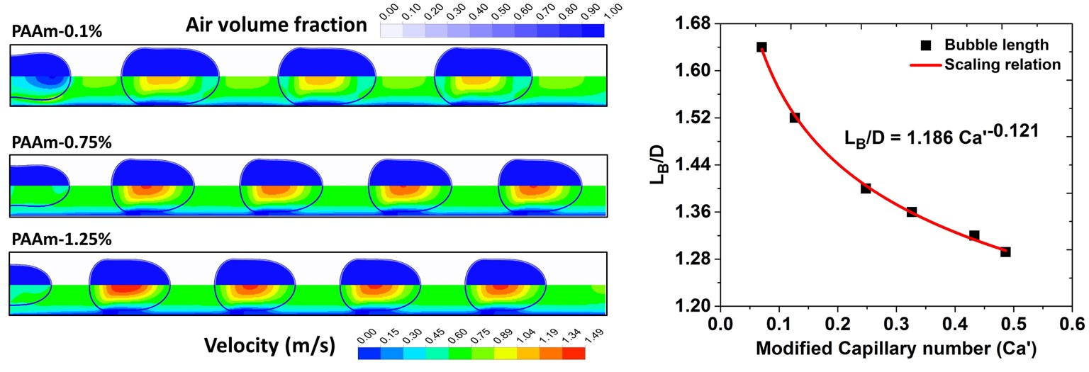 Power law liquid co flow