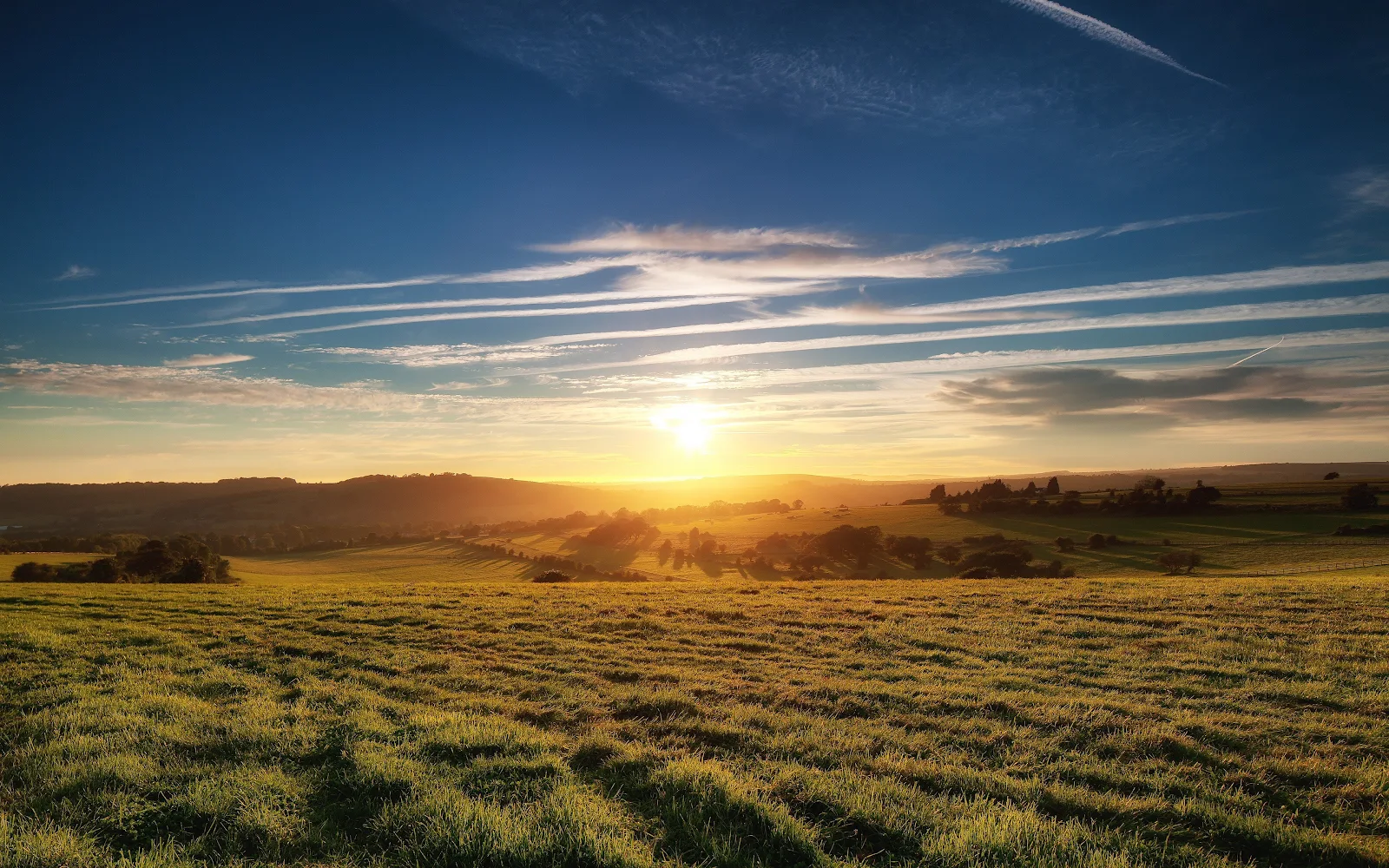 Sky, Sunset, Field, Landscape, Clouds, Trees 4K Desktop, iPhone Wallpaper Background