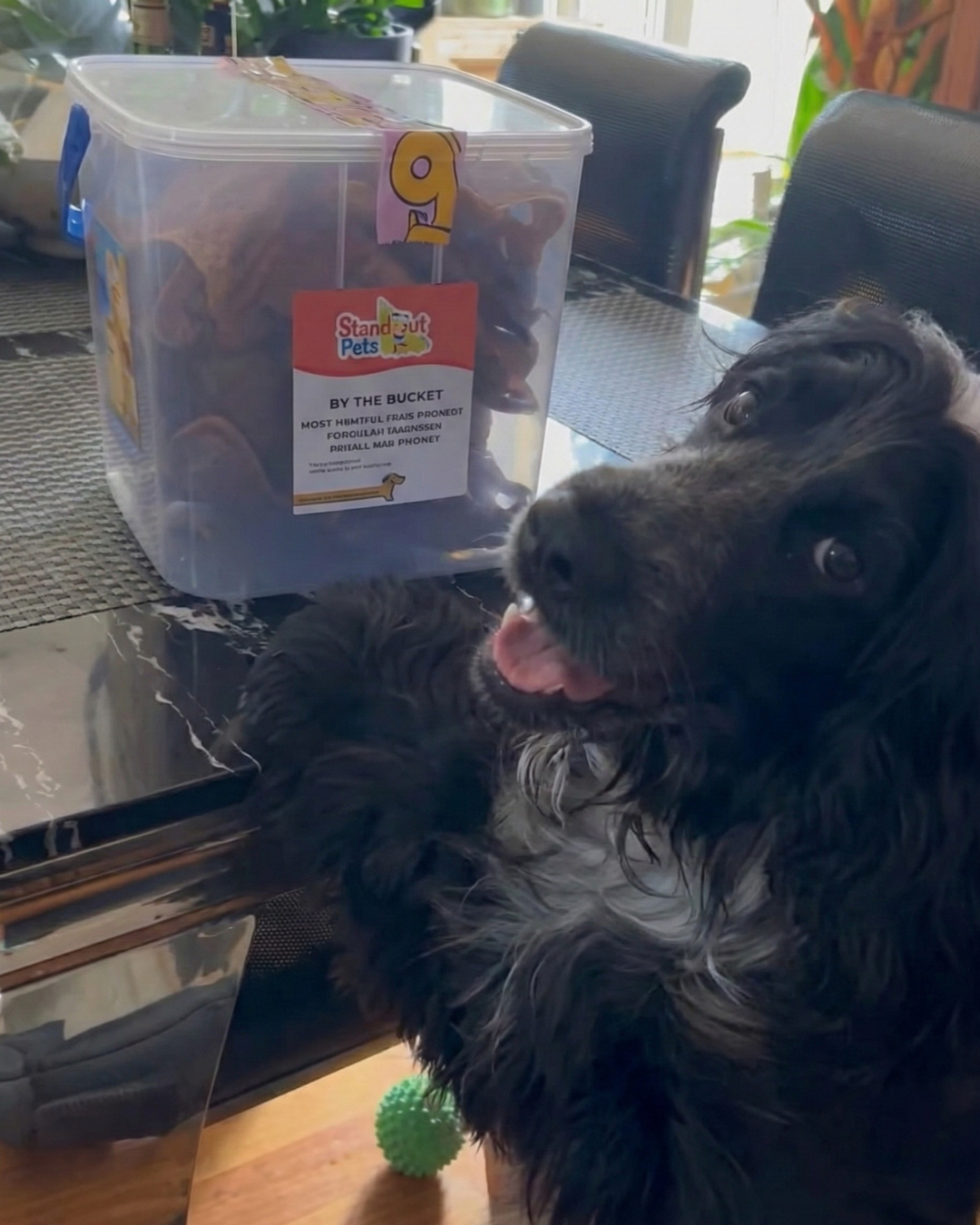 Winton excited for treats