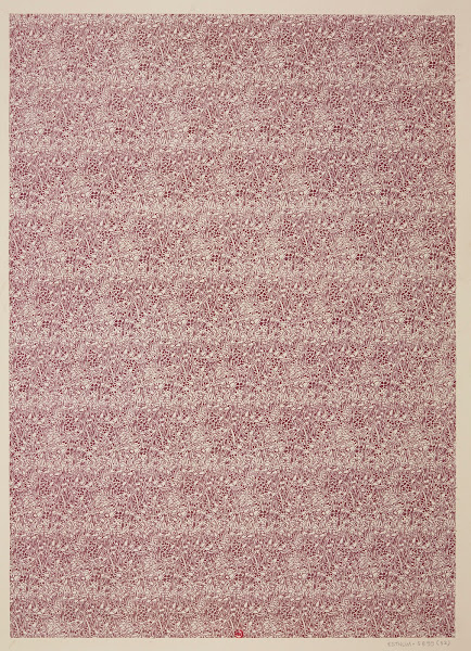 Ensemble de papiers de garde pour Eugène Verneau Pl32 1913 1923