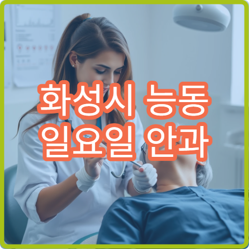 화성시 능동 일요일 안과 병원 찾기 공휴일 안과 영업 정보