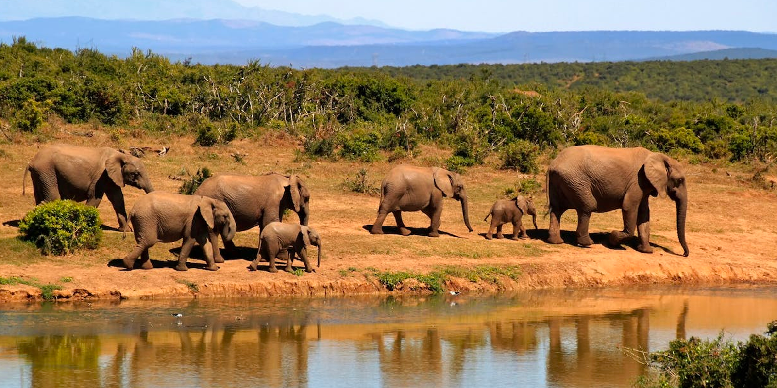 -Couple Autotour Afrique du Sud-où visiter: ville typique, voir un paysage ?