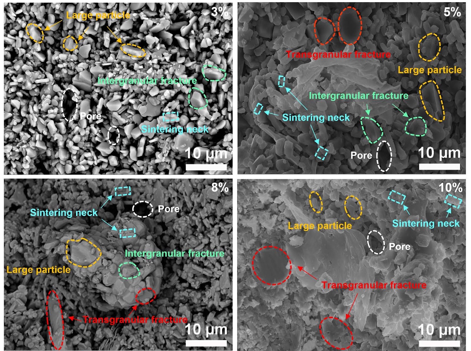 Effect of polysilazane on microstructure and properties of Al2O3-based ceramic core for 3D printing