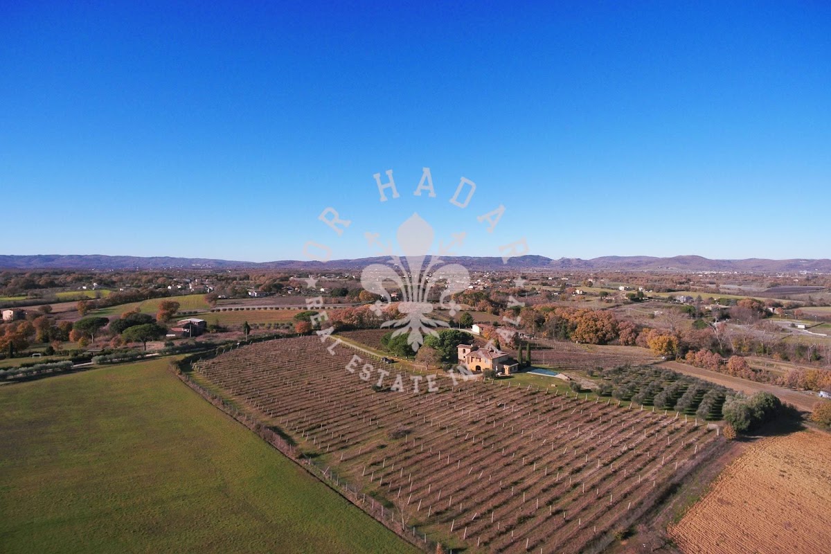 ווילה לה טורה (VILLA LA TORRE) — 22