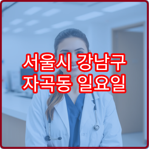 서울시 강남구 자곡동 일요일 약국 주말에도 이용 가능한 약국