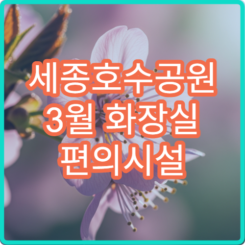 세종호수공원 3월 화장실 편의시설 숨은 위치 공유