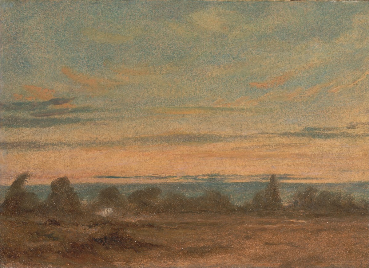 Summer Evening Landscape