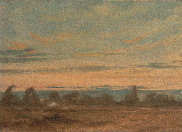 Summer Evening Landscape
