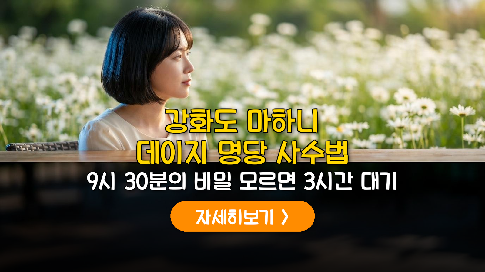 강화도 마하니 데이지 명당과 9시 30분 전략