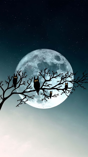 Halloween Moon Picture