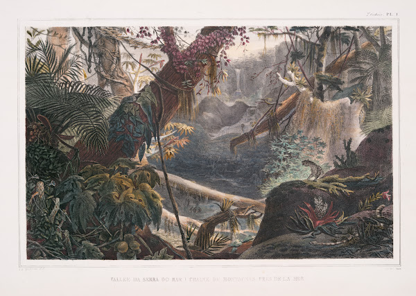 Vallee da Serra do Mar Chaine de montagnes pre de la mer 1834   1839