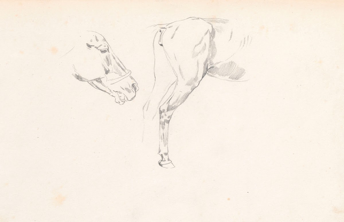 Study of a horses head and back 1880   1883