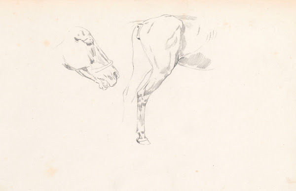 Study of a horses head and back 1880   1883