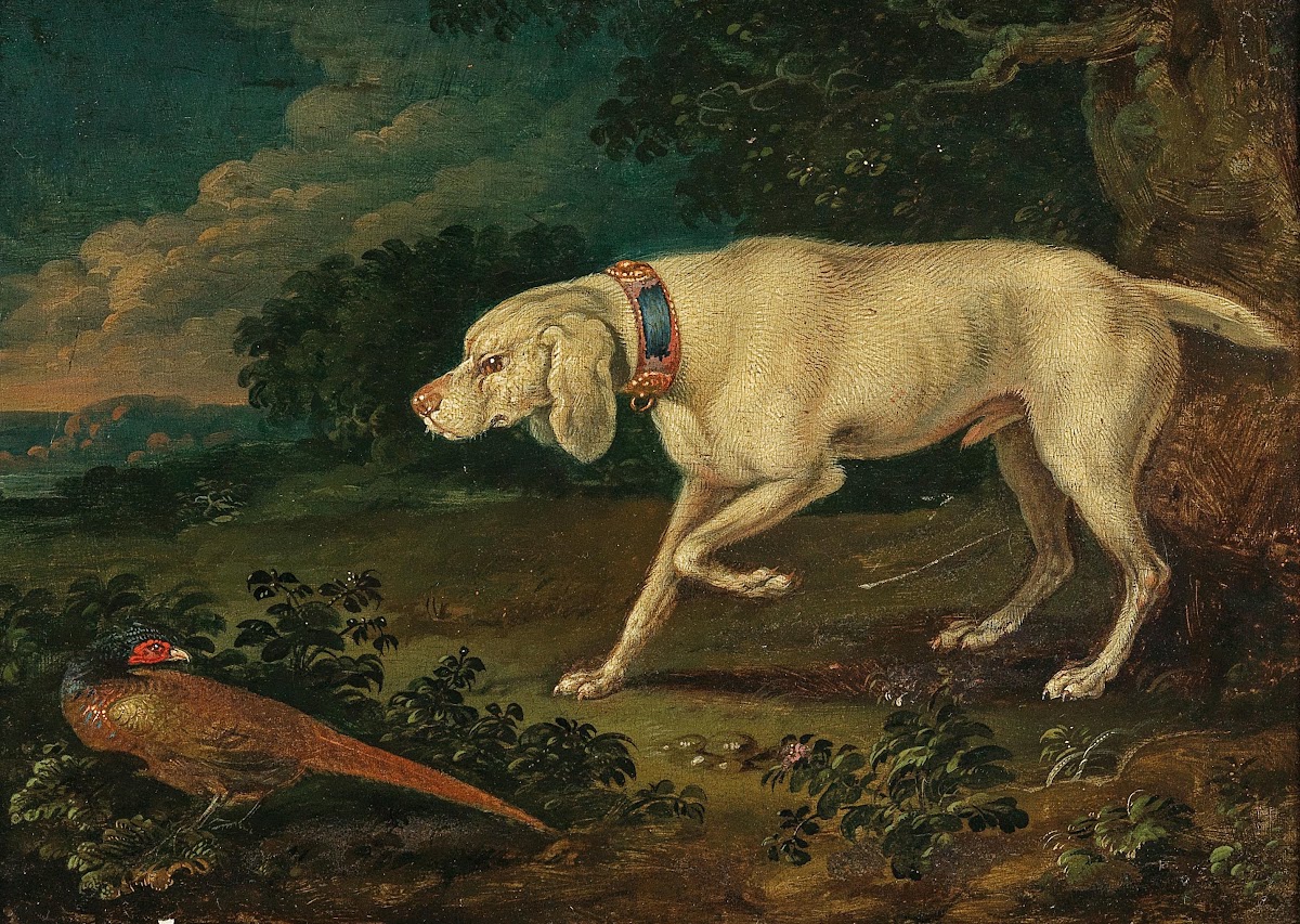 A hunting dog with a pheasant