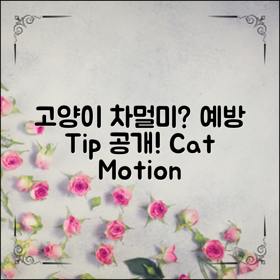 **고양이 차멀미, 이렇게 예방할 수 있을까?**