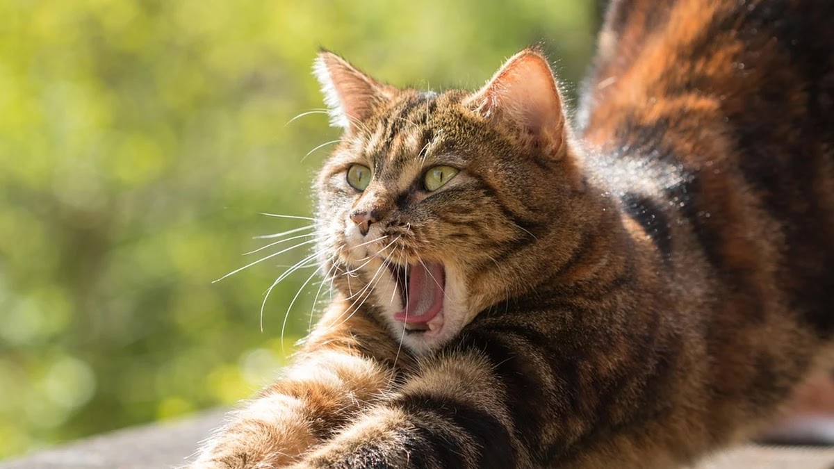 수면장애 진단 기준과 주요 증상별 구분 방법
