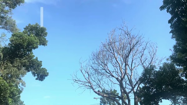 Video thumbnail từ Google Drive
