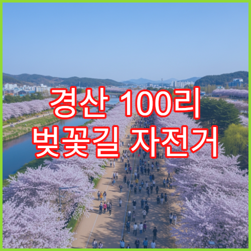 경산 100리 벚꽃길 자전거 대여소 위치 안전 루트 대구 출발 가이드