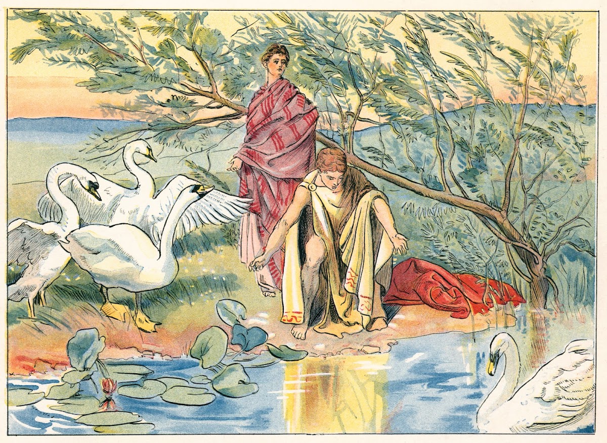 Narcissus 1890