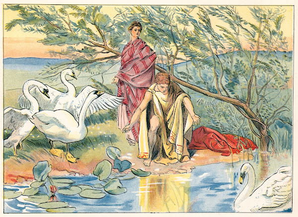 Narcissus 1890
