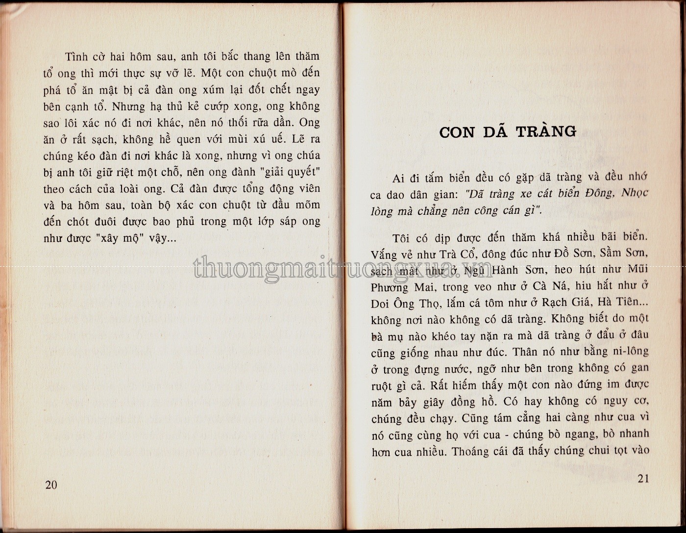 Cây gạo làng tôi (1998) - Trang 11