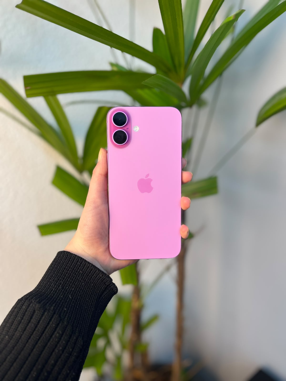 iPhone 16 Plus 128GB Rosa